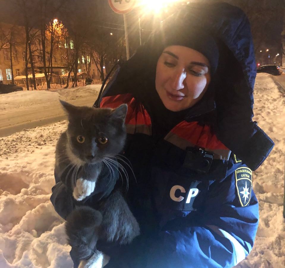 Школьник из района Перово помог попавшему в беду коту