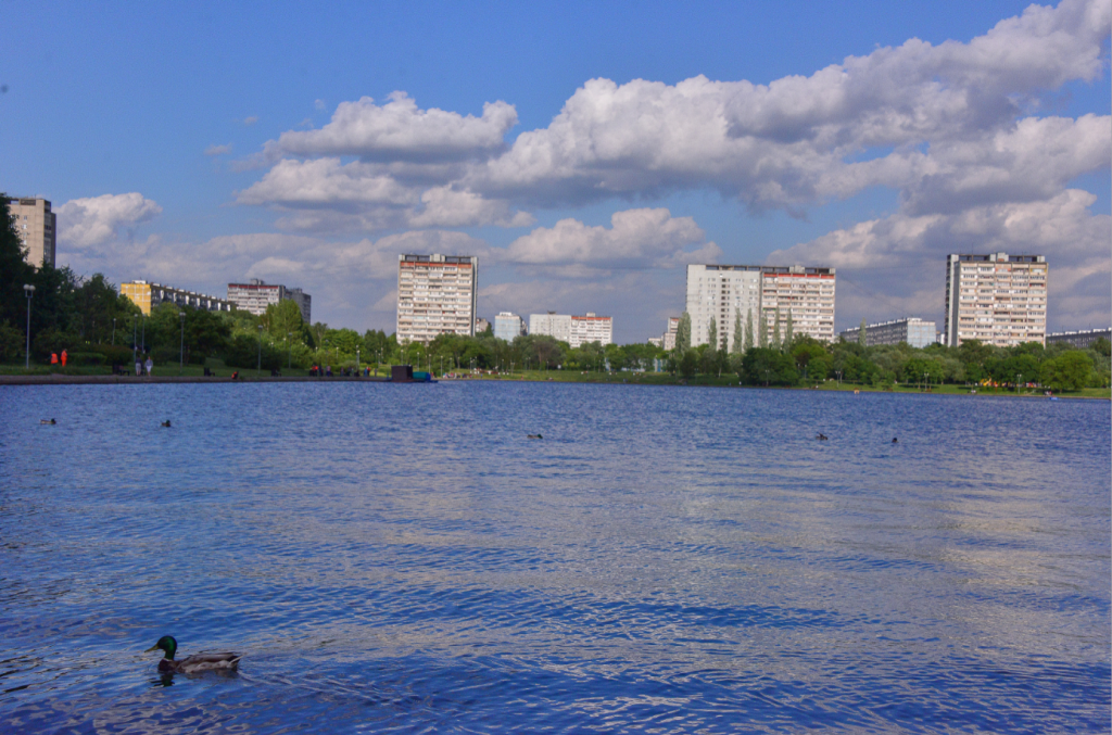 Гольяновский пруд в москве фото