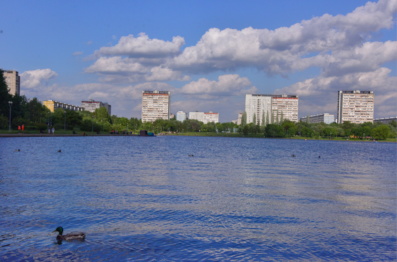 В 2021 году власти планируют благоустроить Гольяновский пруд