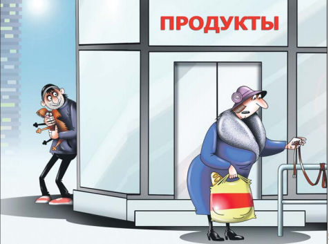 Как уберечь домашнего питомца от похитителей