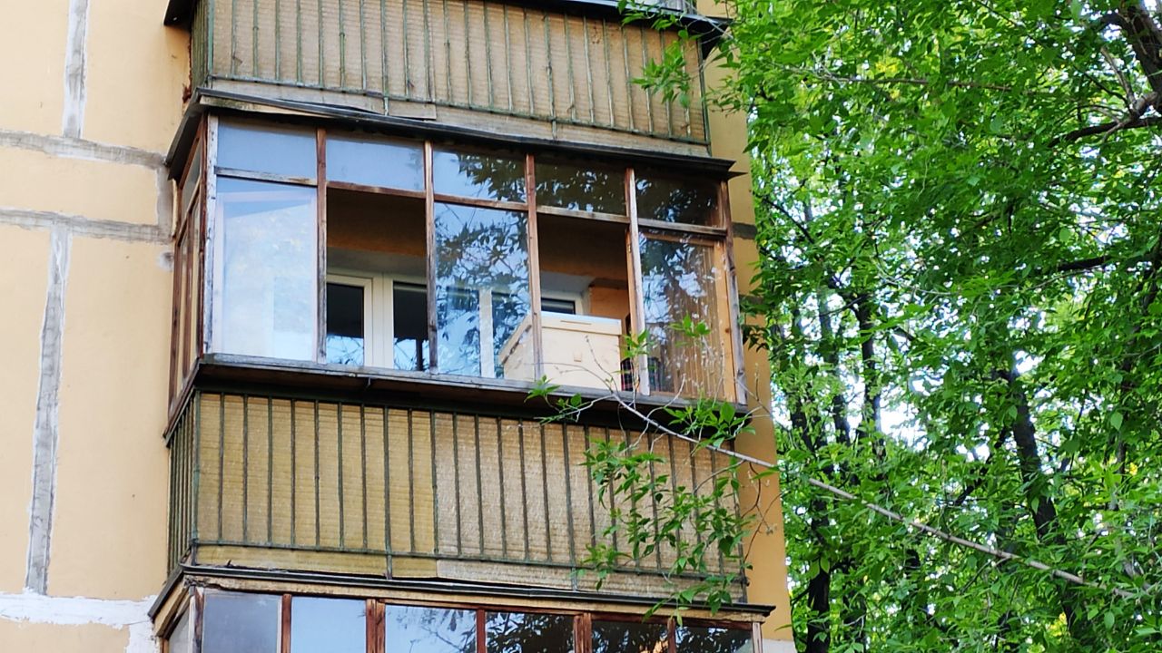 Как получить мёд в обычной московской квартире