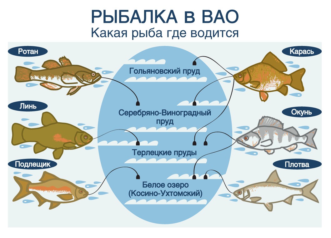 Что надо знать тем, кто впервые собирается на рыбалку