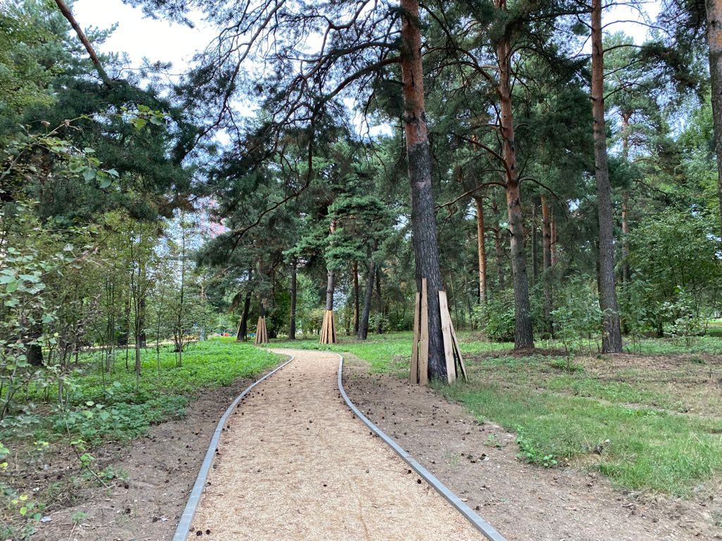 В ВАО завершается благоустройство зоны отдыха у Салтыковского лесопарка