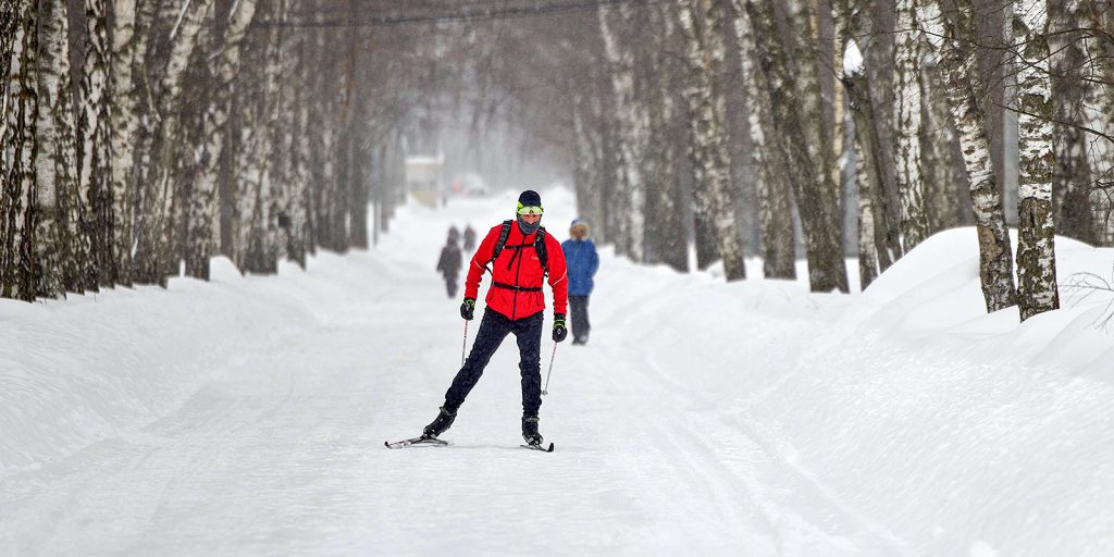 В парке «Сокольники» пройдут уроки по лыжным гонкам
