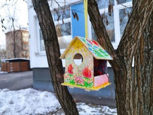 Геркулес и сало: чем кормить птиц зимой