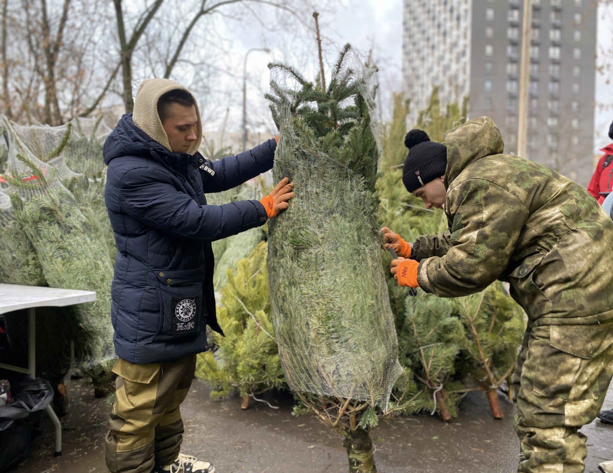 В ВАО открылось 24 елочных базара