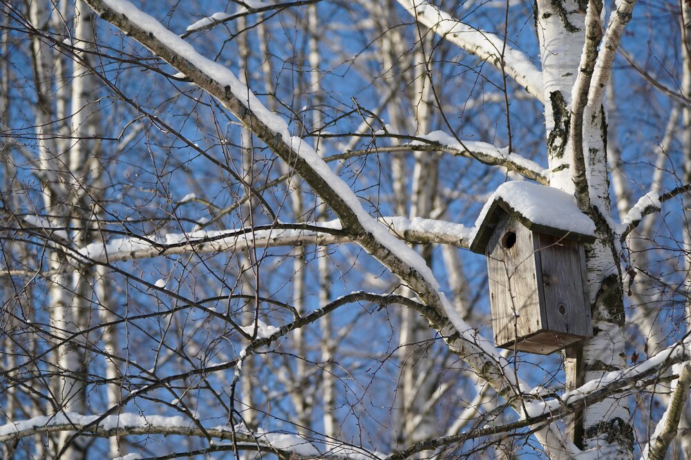 Терлецкий парк туалеты