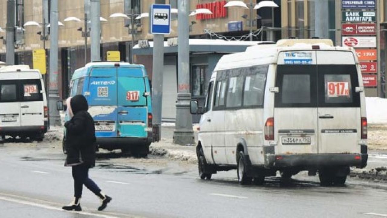 Перебегал дорогу на авось | Восточный Округ