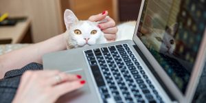 В Москве 23 августа пройдёт тестовое голосование перед выборами в МГД