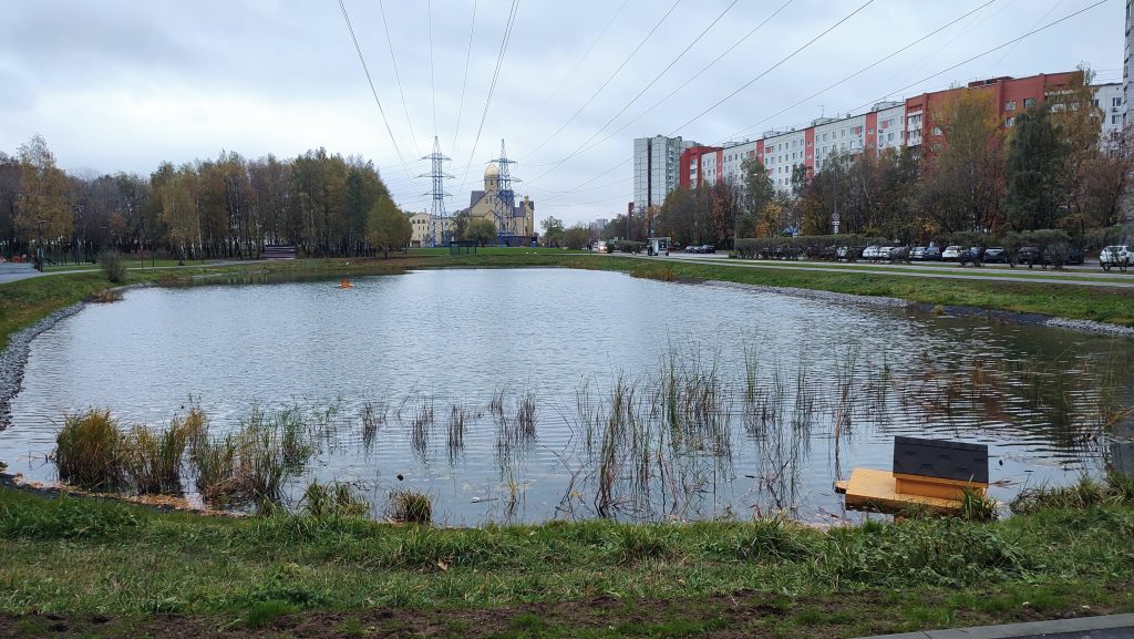 В Гольянове привели в порядок Красноярские пруды