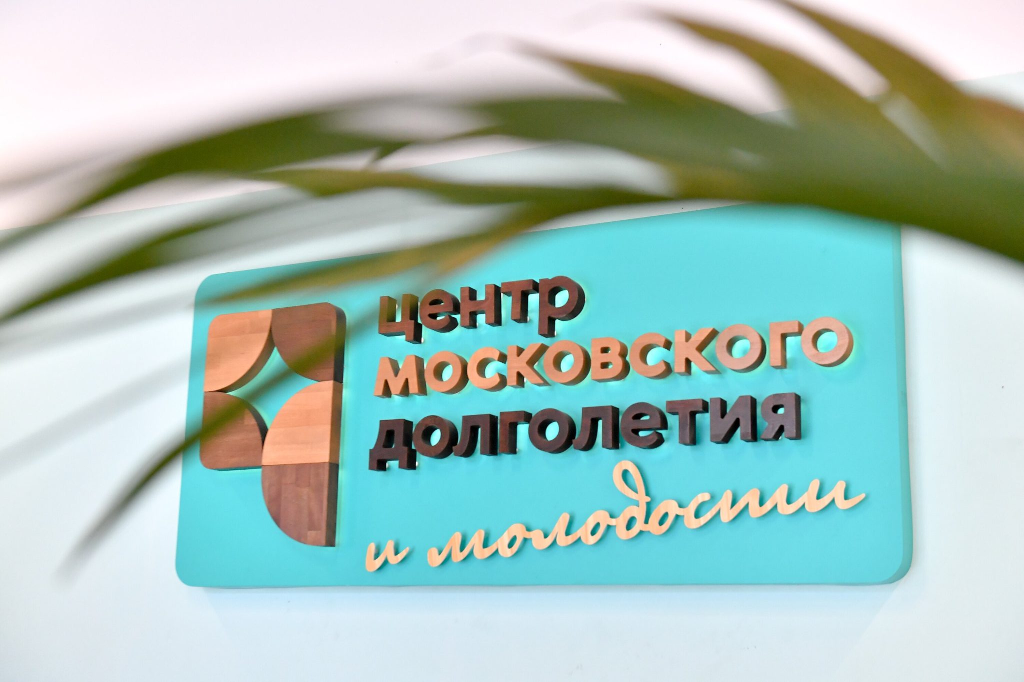 В центре долголетия на Бабаевской пройдет День культуры Эквадора